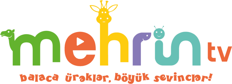 Mehrin TV